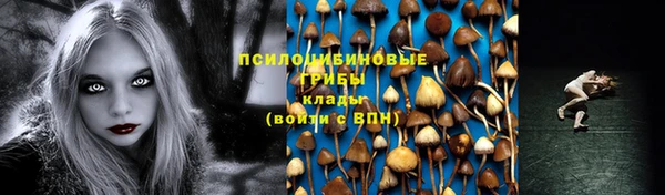 мдпв Волоколамск