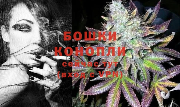 мдпв Волоколамск