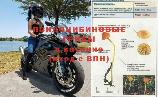 ГАЛЛЮЦИНОГЕННЫЕ ГРИБЫ Вязьма