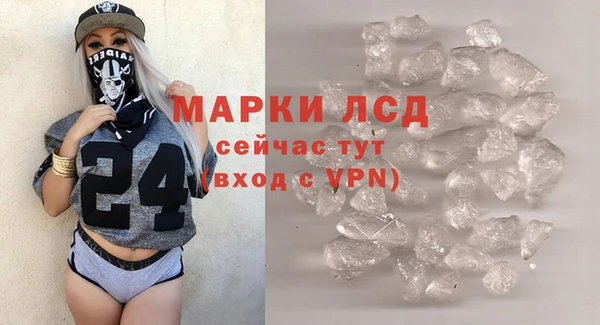ГАЛЛЮЦИНОГЕННЫЕ ГРИБЫ Вязьма
