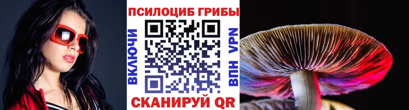 Галлюциногенные грибы MAGIC MUSHROOMS  где купить наркоту  Зеленодольск 